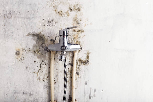 Best Bathroom Mold Remediation in Fond Du Lac, WI