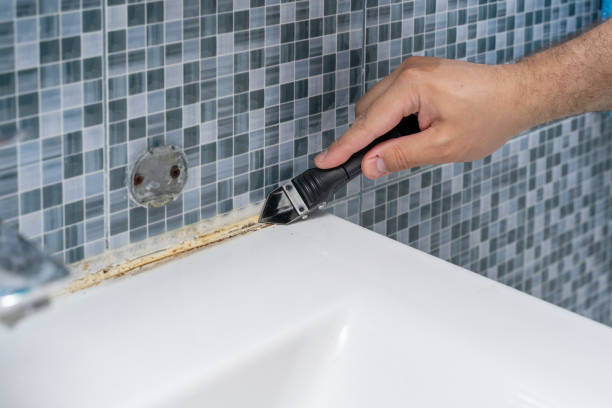 Best Black Mold Remediation in Fond Du Lac, WI
